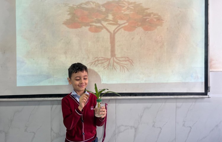 بررسی بخش‌های محتلف یک گیاه-زنگ Science 3