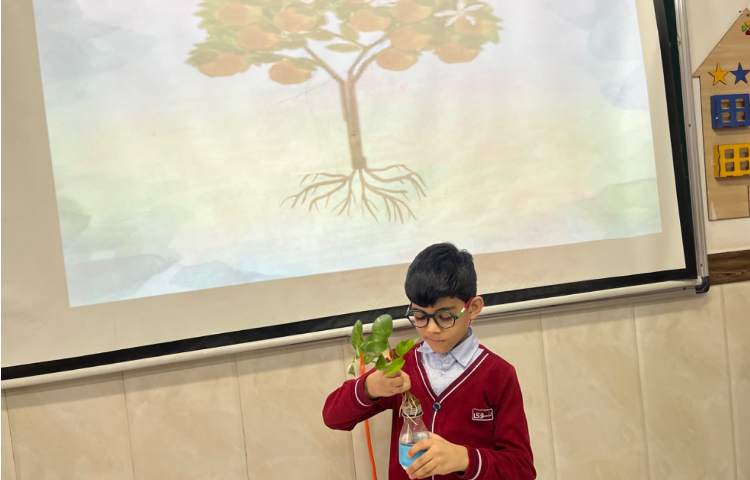 بررسی بخش‌های محتلف یک گیاه-زنگ Science 4