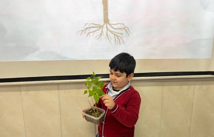 بررسی بخش‌های محتلف یک گیاه-زنگ Science 5