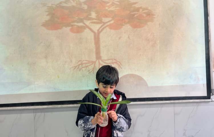 بررسی بخش‌های محتلف یک گیاه-زنگ Science 5