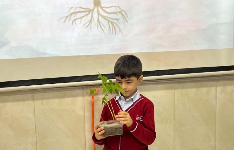 بررسی بخش‌های محتلف یک گیاه-زنگ Science 6