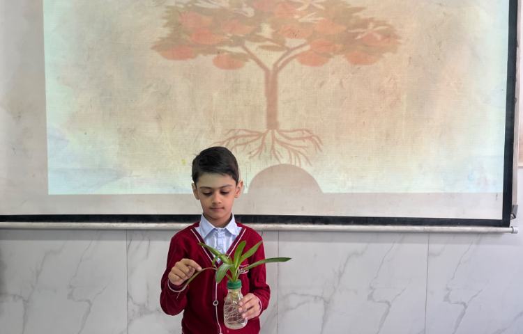 بررسی بخش‌های محتلف یک گیاه-زنگ Science 6