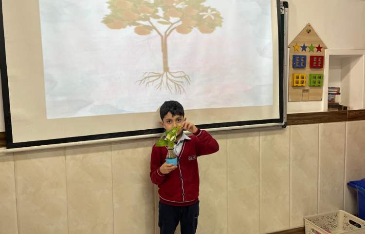 بررسی بخش‌های محتلف یک گیاه-زنگ Science