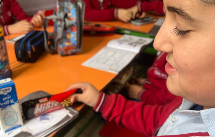 بررسی لوگوی محصولات 2