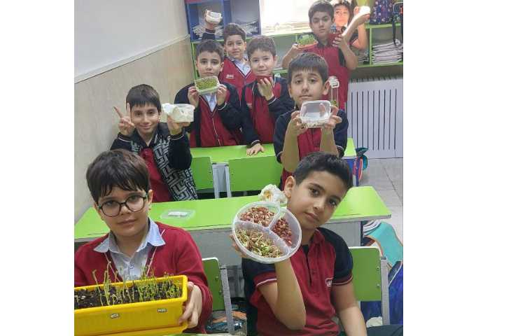 بررسی و مشاهده ی چگونگی رشد دانه های مختلف در زنگ علوم 2