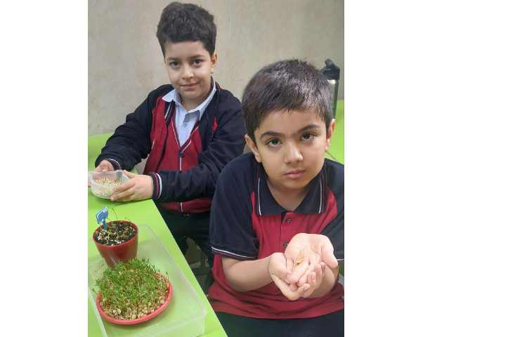 بررسی و مشاهده ی چگونگی رشد دانه های مختلف در زنگ علوم 3