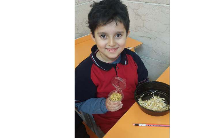 بررسی و مشاهده ی چگونگی رشد دانه های مختلف در زنگ علوم 5