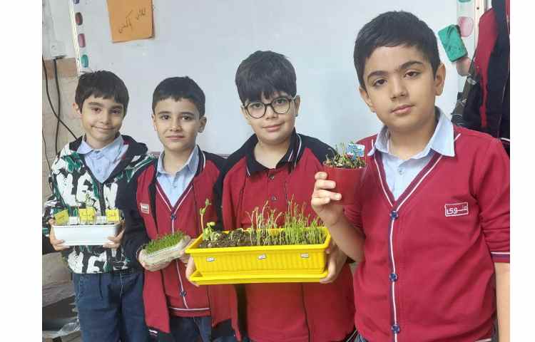 بررسی و مشاهده ی چگونگی رشد دانه های مختلف در زنگ علوم