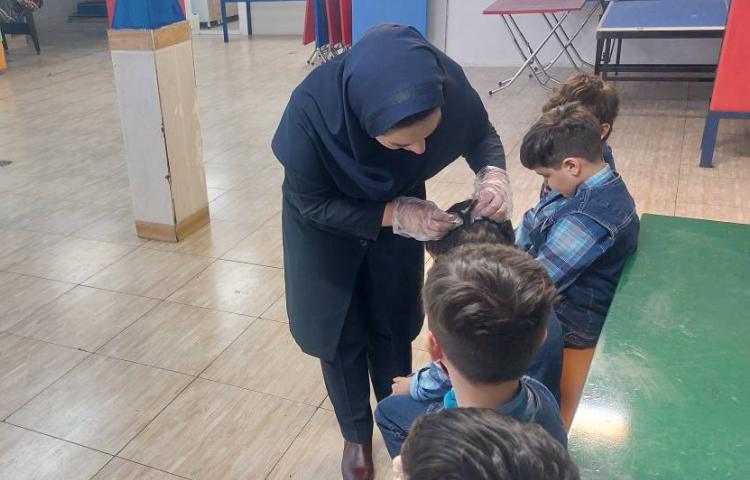 :بررسی پدیکلوز آذر ماه دانش آموزان 7