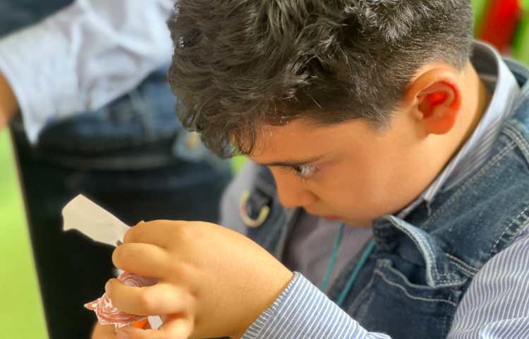 برش میمون برای درخت خود