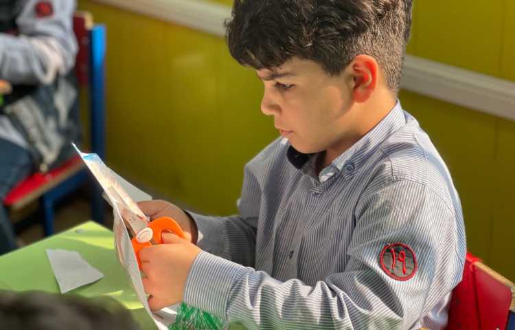 برش میمون برای درخت گروهی