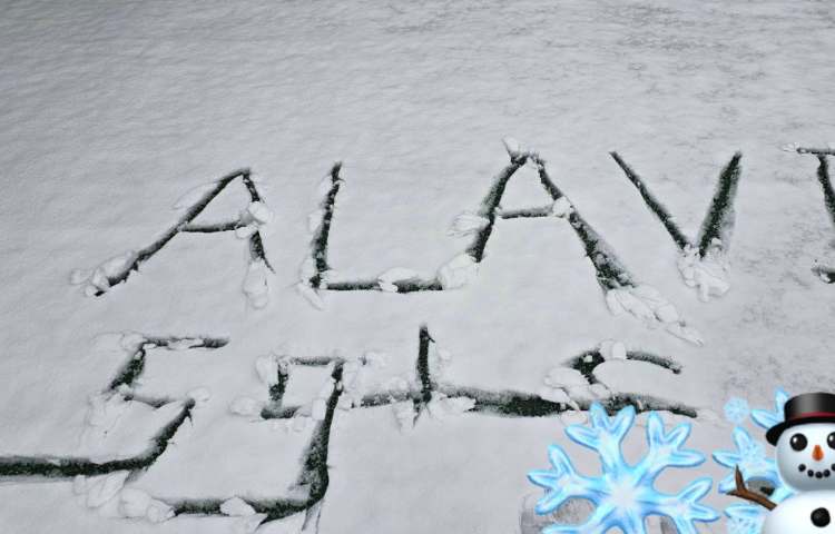 برف زمستانی: موهبت الهی و مراقبت‌های لازم 1