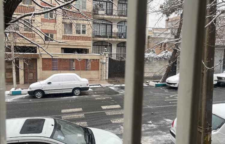 برف زمستانی: موهبت الهی و مراقبت‌های لازم 2