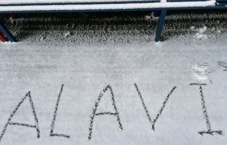 برف زمستانی: موهبت الهی و مراقبت‌های لازم 3