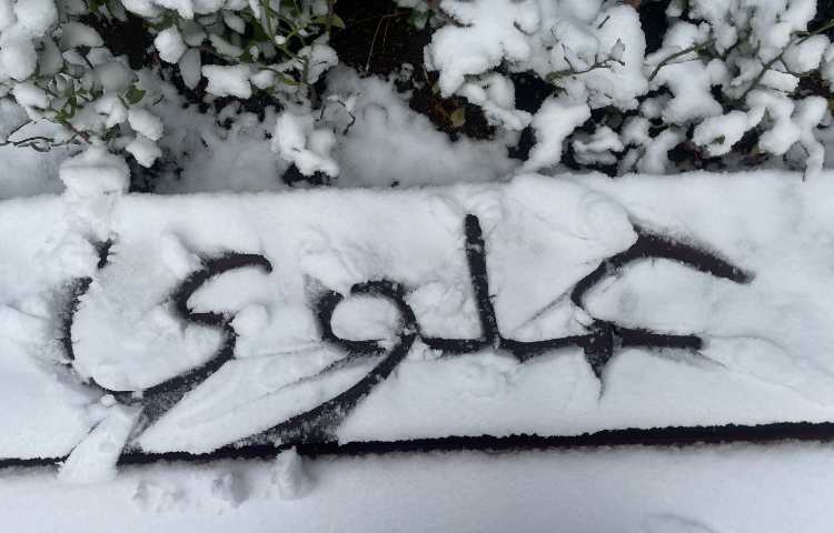 برف زمستانی: موهبت الهی و مراقبت‌های لازم 4