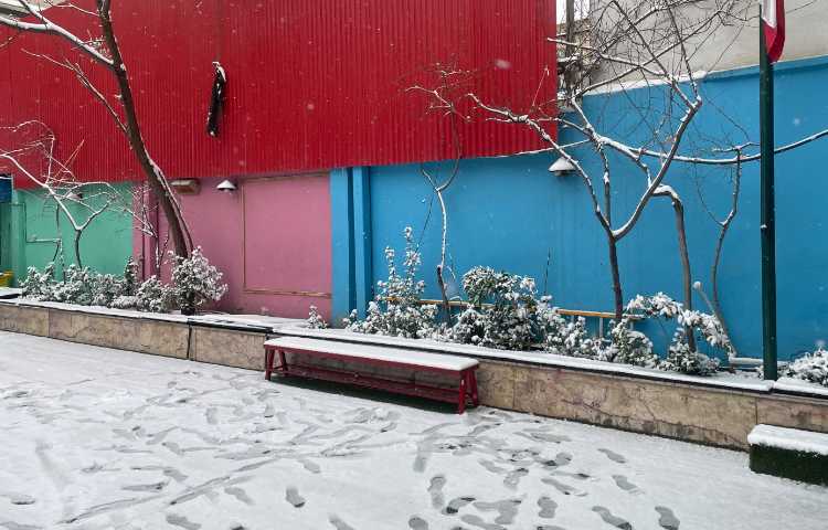 برف زمستانی: موهبت الهی و مراقبت‌های لازم 6