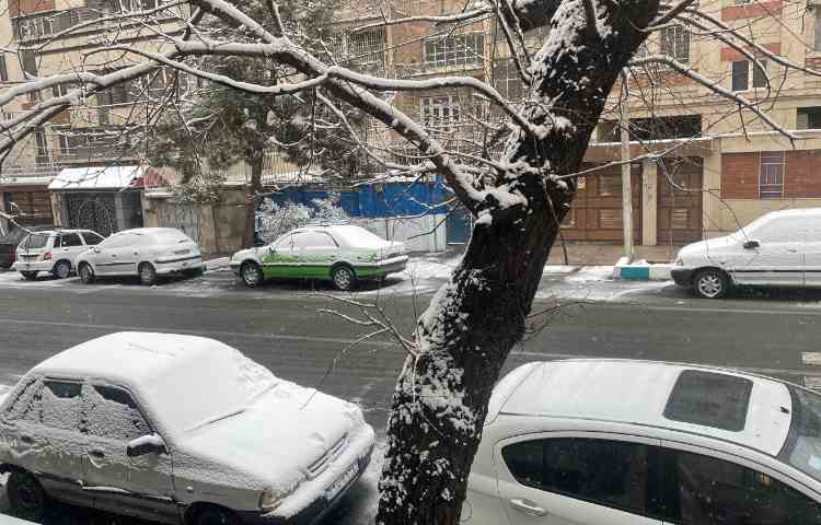برف زمستانی: موهبت الهی و مراقبت‌های لازم 7