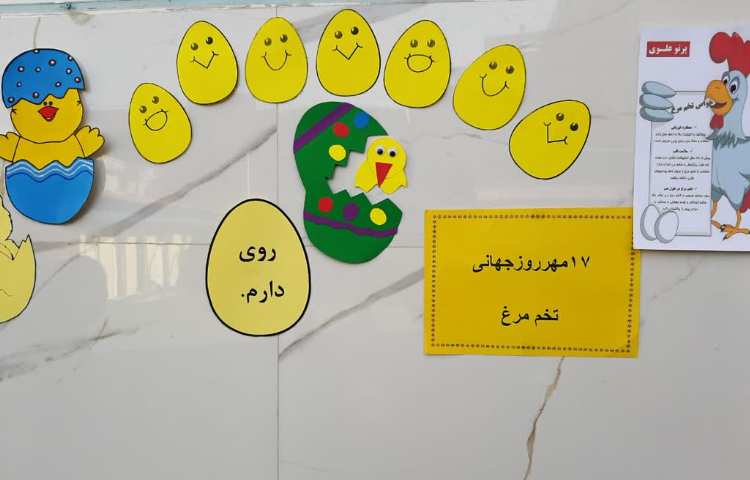 برندگان روز تخم مرغ واحد بهداشت 4