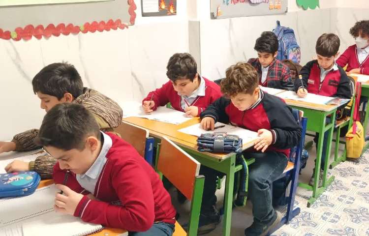 برگزاری آزمون تیمز