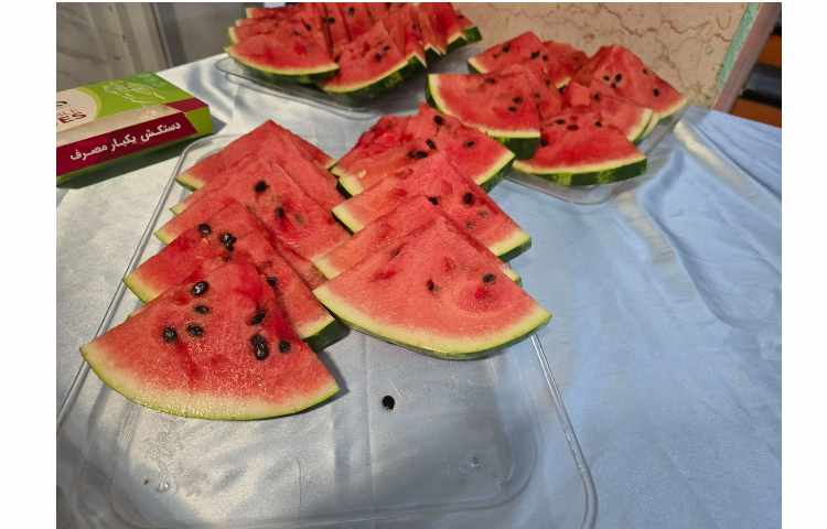 برگزاری اردوی جشن آب در پایگاه تابستانی 45