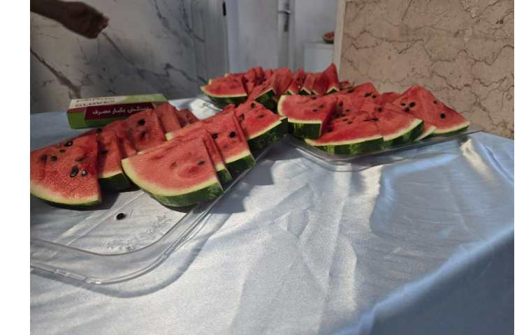 برگزاری اردوی جشن آب در پایگاه تابستانی 48