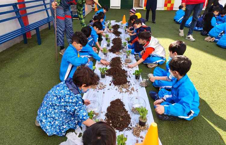 :برگزاری اردوی شهروند سالم با موضوع درختکاری و ساخت تراریوم 3