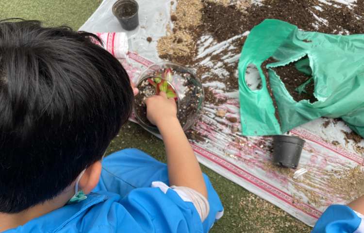 :برگزاری اردوی علمی_تفریحی درون مدرسه ای ویژه پایه های دوم و سوم 17