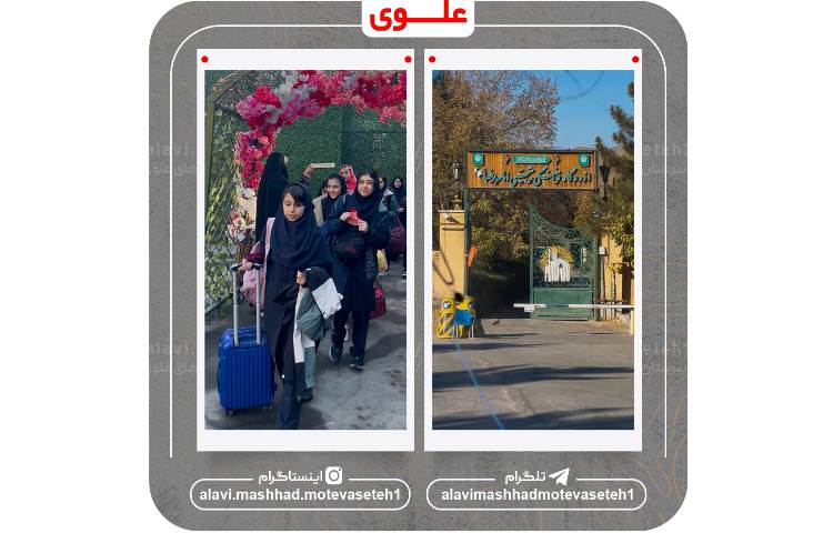 برگزاری اردو فرهنگی تربیتی اردوگاه امام رضا(ع) 4