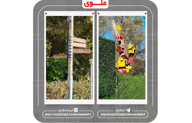 برگزاری اردو فرهنگی تربیتی اردوگاه امام رضا(ع) 5