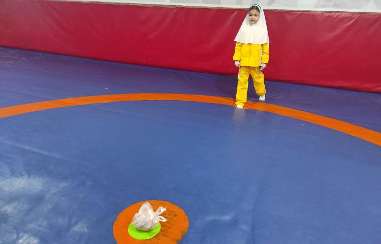 برگزاری تست پرتاب توپ هفت سنگ