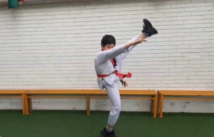 برگزاری جشنواره ماها 8