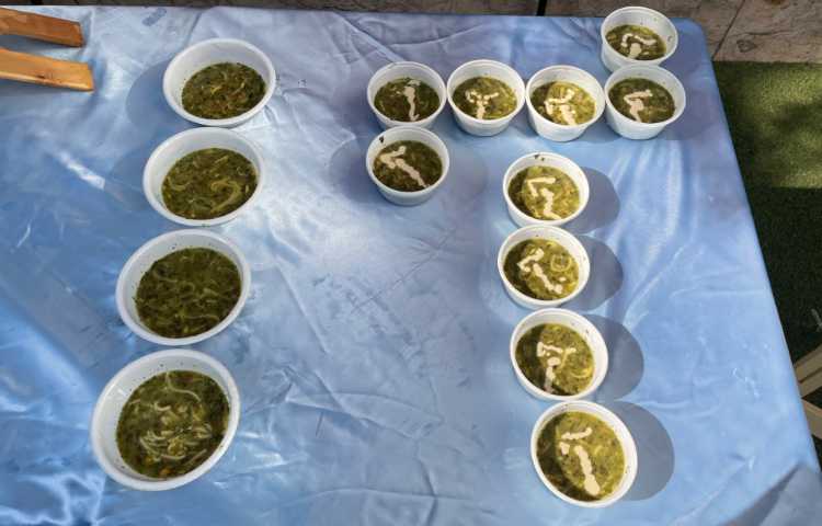 برگزاری جشن آغاز آموزش الفبا 13