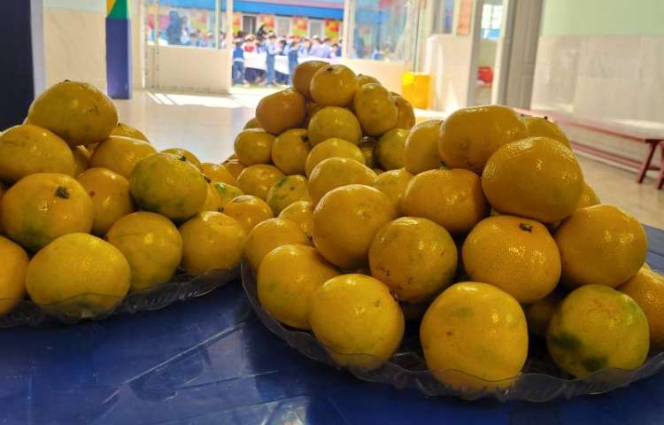 برگزاری جشن آغاز آموزش الفبا 6