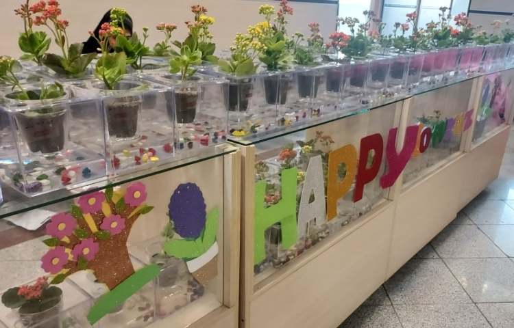 برگزاری جشن نوروز 17