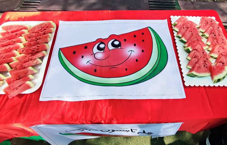 : برگزاری جشن چله ی تابستان 12