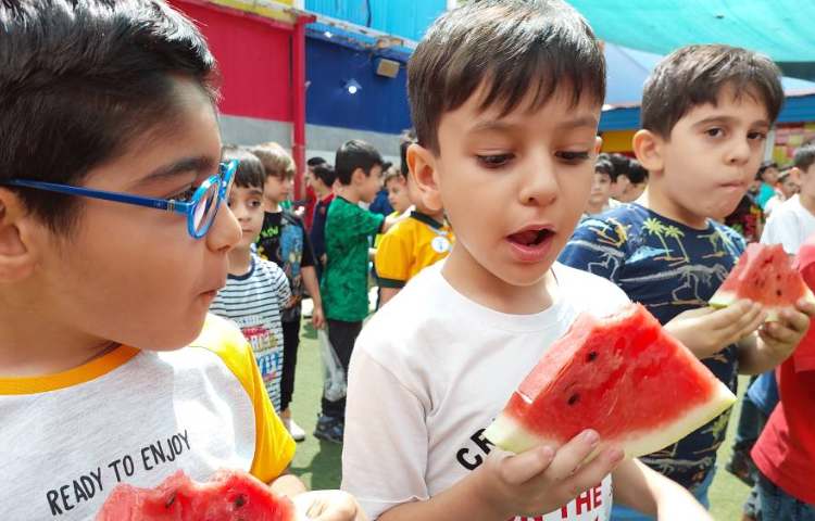 : برگزاری جشن چله ی تابستان 6