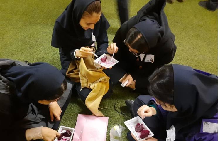 برگزاری جشن یلدا در مدرسه 4