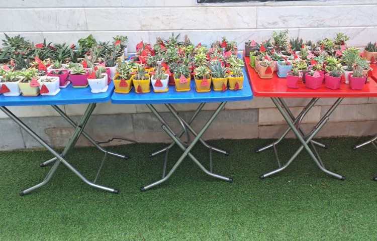 برگزاری جشن یلدا 3