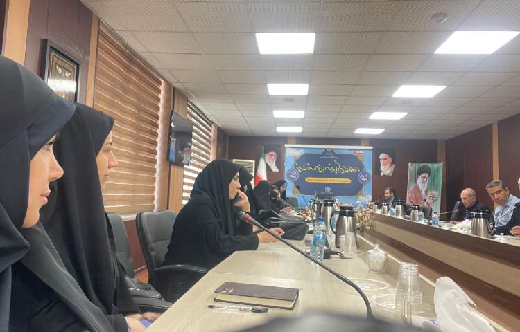 برگزاری جلسات توجیهی پروژه مهر 5