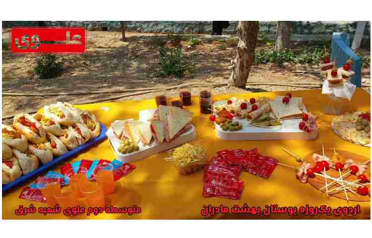 برگزاری سومین اردوی شاد و خاطره‌انگیز ترم تابستانه 4