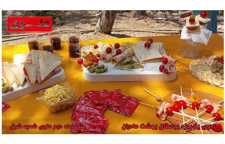 برگزاری سومین اردوی شاد و خاطره‌انگیز ترم تابستانه 5