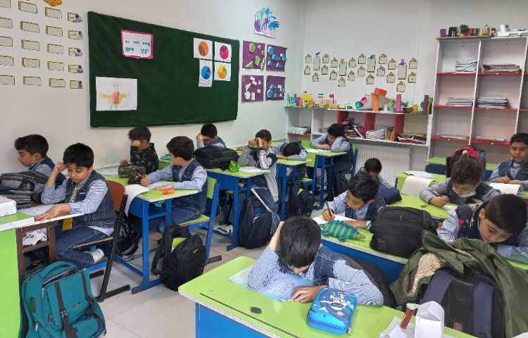 برگزاری طرح سنجش استعداد: مداد قرمز 1 - مطالعات 1