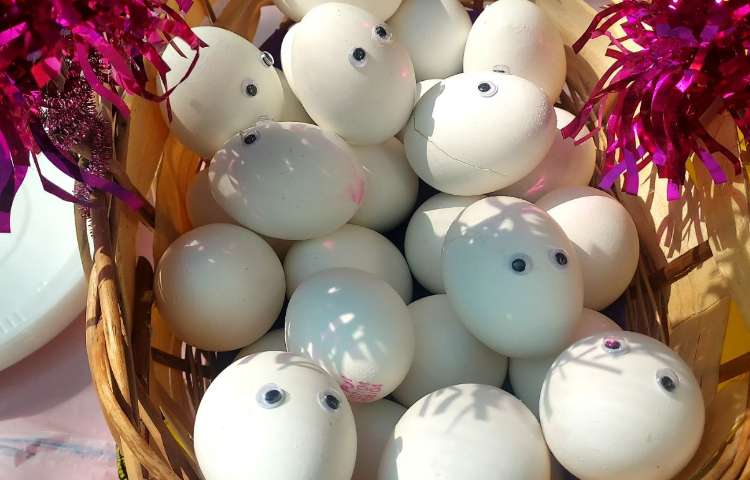 برگزاری مراسم در روز جهانی تخم مرغ 1