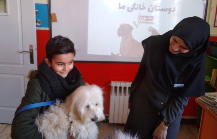 :برگزاری نمایشگاه حیوانات خانگی 1