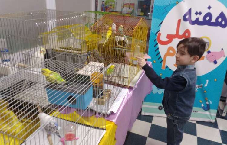 :برگزاری نمایشگاه حیوانات خانگی 3