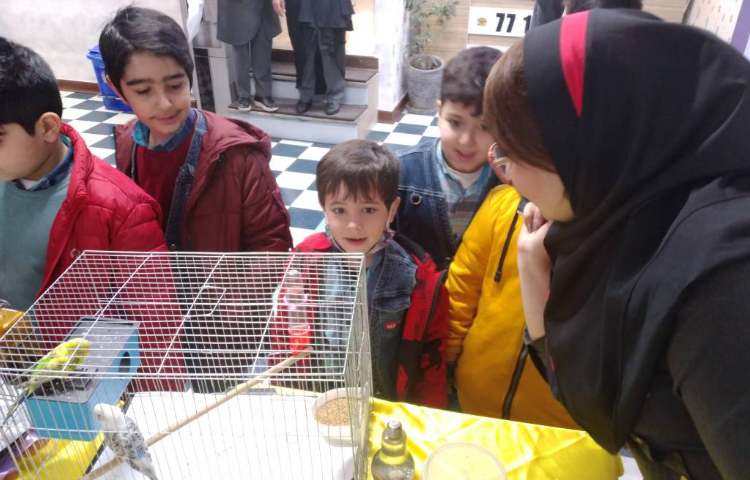 :برگزاری نمایشگاه حیوانات خانگی 5