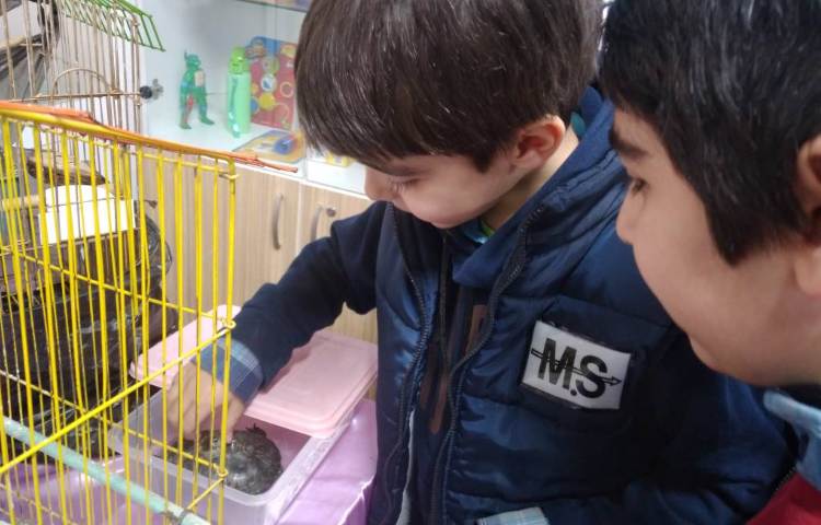 :برگزاری نمایشگاه حیوانات خانگی 6