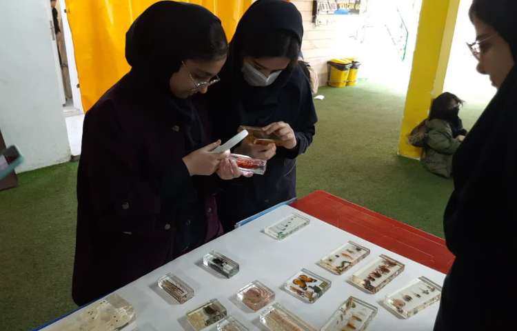 برگزاری کارسوق در متوسطه دخترانه دوره اول علوی 2