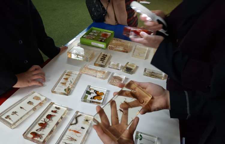 برگزاری کارسوق در متوسطه دخترانه دوره اول علوی 3