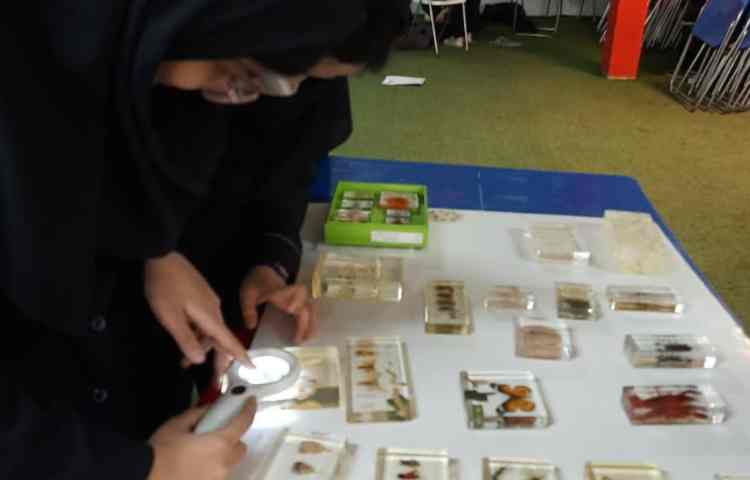 برگزاری کارسوق در متوسطه دخترانه دوره اول علوی 4